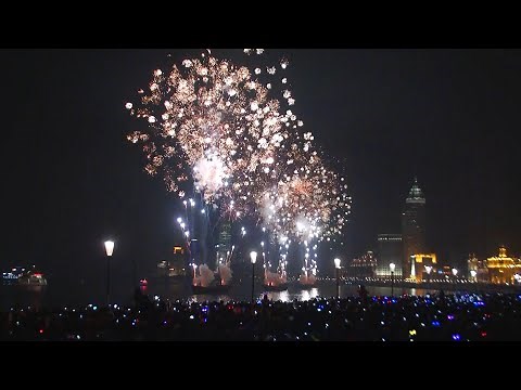 Shanghai New Year's Fireworks Show