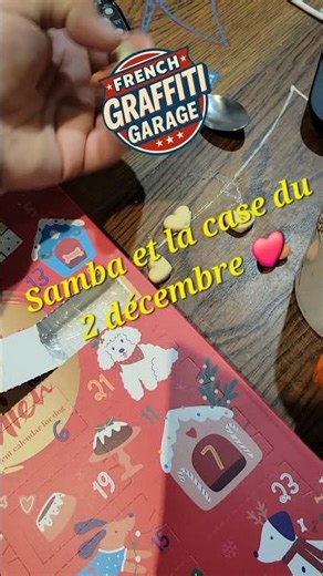 Samba et la case du 2 décembre ❤️ | Samba opens her December 2nd treat ❤️
