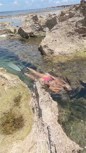 she glides over the razor sharp rocks in the shallow water. if she touches the rocks at all she