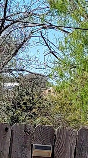 how to spy on kids at the school turn up volume to hear them