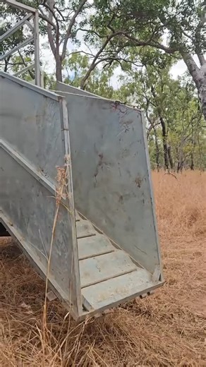 @farminganz on Instagram: "Bull catching in Cape York — just another day at the office 🤠🐂🔥 #australia #capeyork #bullcatching #cattle #farmlife #countrylife #aussiefarm #ruralaustralia #cattlelife #outbacklife #farmtok"