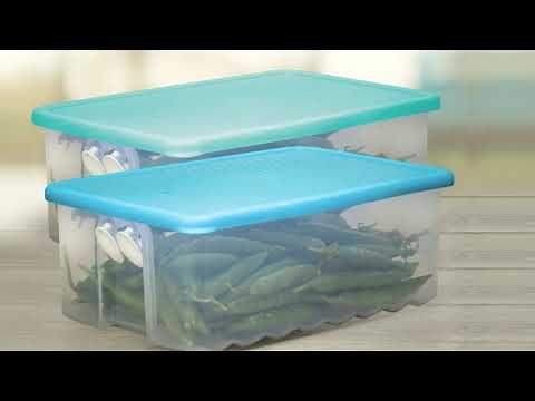 Tupperware Fridgesmart