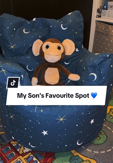 My Son's Favorite Bean Bag for Stories and Cartoons