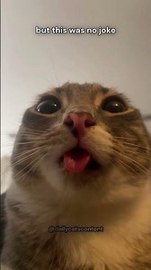 I typed L on my friend’s computer as a joke…​