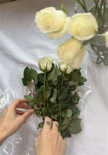 New Moon nights are for slowing down Cleansing the energy Setting intentions And choosing softness on purpose From fresh sheets to calming scents From rose tea to quiet reflection This little ritual is how I welcome in new beginnings If you’d love to make your space feel just as magical Comment WAX and I’ll send you the link Plus enjoy 10% off the most beautiful, luxurious wax melts Perfect for your own New Moon rituals Our New Moon Manifest Boxes are also available on our website Link in bio to