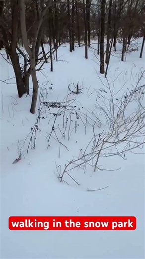 Walking in the silent snow park ￼