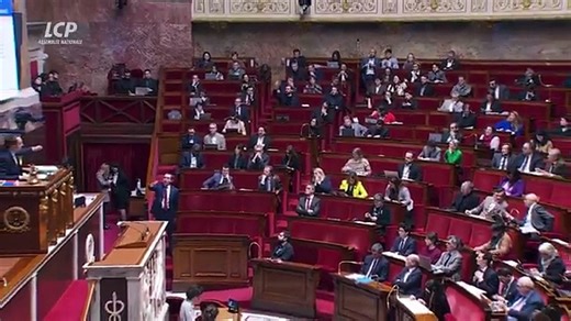 Le LFI Antoine Léaument pète les plombs, ce midi, en pleine Assemblée et menace physiquement le RN S