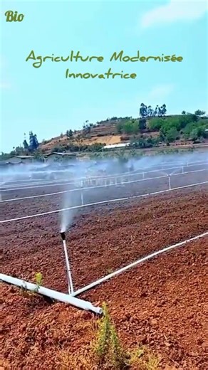 Système d'irrigation par aspersion