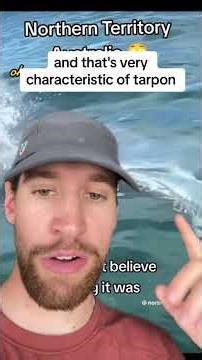 Massive shark hunting 🦈 #shark #predator #fishing #wildlife