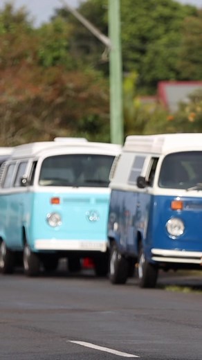 Living wild and free ✌🏼#vanlifeaustralia #kombi #fyp