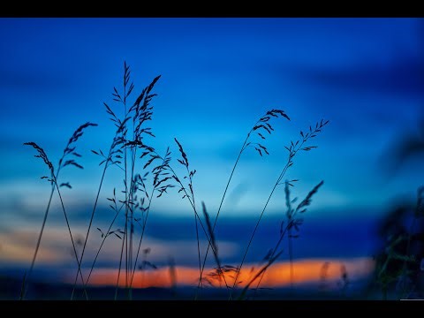 10 Hours of Deep Nature Ambient Sound | Calm Mind, Focus & Relaxation