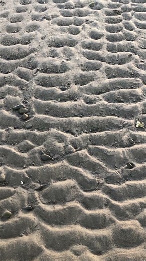 Sand Ripple Marks.