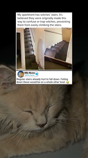 My Apartment Has 'Witches' Stairs' — Here's Why They're Built Like This 👀
