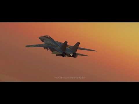 DCS: F-14 Flight Model - Ep. 1 - "The Basics"
