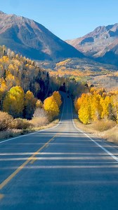297K views · 6.7K reactions | There’s still plenty of vibrant fall color in the San Juan Mountains!  Here’s a quick clip from Sunday, 10/6, as I made my way into Telluride. #reelsfypシ #telluride #colorado #fyp #colorfulcolorado #foryoupageシ #fall #fall2024 #autumn #autumnleaves #aspen #trees #mountains #mountainview #naturelovers | Colorado Wild Photography | Facebook