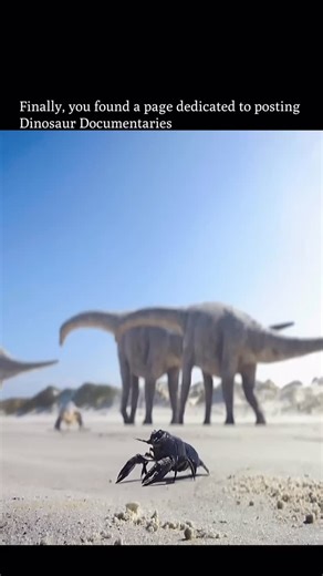 ⏰ 𝗙𝗼𝗹𝗹𝗼𝘄 𝘁𝗼 𝗴𝗼 𝗯𝗮𝗰𝗸 𝗶𝗻 𝘁𝗶𝗺𝗲 on Instagram: "You’d never imagine that one terrified lizard’s leap into the sea would change evolution forever. Chased to the shoreline by hungry Abelisaurus, these little reptiles chose the ocean over certain death on land. What started as a desperate escape turned into a permanent exile. Over generations, they abandoned the shore completely, trading their old lives for a new one in the open ocean. They stopped laying eggs on beaches—where predat