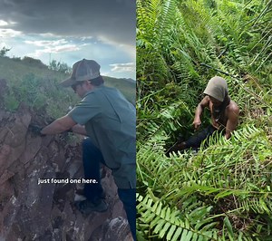 Mining crystals gemstones | Rajo Chalcedony