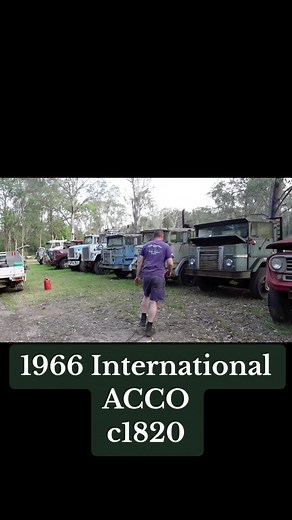 1966 International ACCO V8 Petrol Engine Truck