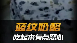 蓝纹奶酪纪实：霉菌纹路里的发酵美学与味觉两极分化丨纪录片_腾讯新闻
