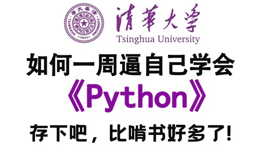 【全848集】绝对是2026年B站最全Python全套教程（包含爬虫 数据分析），一周从入门到精通Python，学完即可就业！看完这一套Python教程就够了！