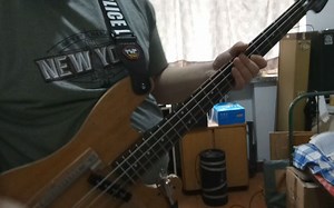 未屏蔽电流声警告，大肥猫DIY被动法兹+6种音色电容旋钮，musicman darkglass bass 贝司 贝斯