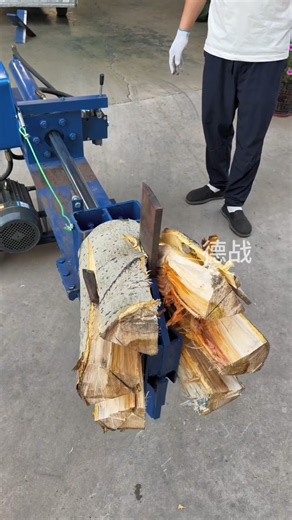 Small Household Wood Splitter🔥🪵 | Cross-Shaped Blade Splits 70cm Poplar Logs | Sahot Vara Tatal