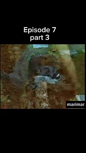 992 reactions · 45 shares | Episode 7 part 3 #Marimar #MarianRivera #DingdongDantes | Mamii Jane | Facebook