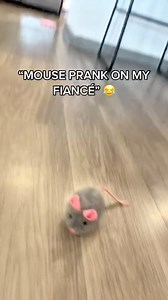 5.6K views · 41 reactions | Fake mouse prank #funnyprank #scareprank #funny #scaring #fails #failarmy #viral #trending #prank #fbreelsvideo #trendingreels #virals | Funny-pranks | Facebook