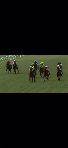 1K views · 25 reactions | Great to see Wanavan win today at Muswellbrook, congratulations to his connections Max and Sally Kowalczuk. | Singleton Racing | Facebook