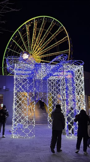 The holidays have officially arrived at Navy Pier! ✨🎄 Watch as the entire Pier shines bright with stunning holiday lights, creating a winter wonderland you won't want to miss. Learn more: https://bit.ly/3ilb4th #LightUpTheLake | Navy Pier