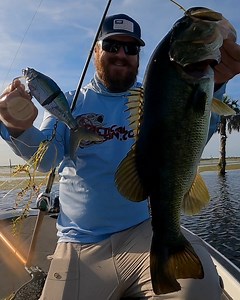 150K views · 660 reactions | The R2S Tactical Wake 210 has arrived!!...