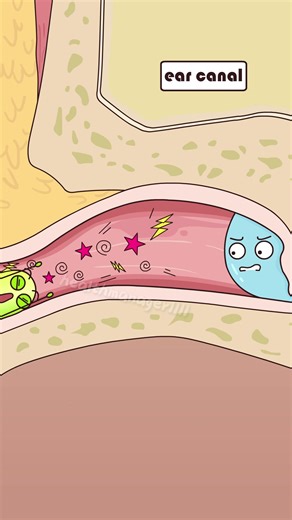 Which type of earbuds do you prefer? | ear buds