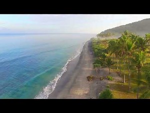 Sandy Cheeks - [OFFICIAL MUSIC VIDEO]