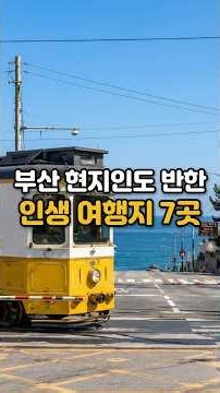 부산 여행 필수 코스! 가볼만한 곳 베스트 7 #부산여행 #부산가볼만한곳 #해동용궁사