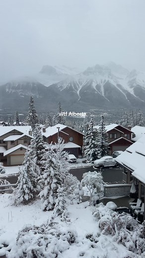 Romanticizing Fall Amid Alberta's First Snowfall