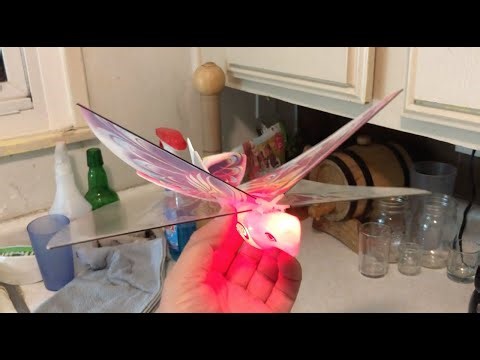 Remote Control E-Bird Butterfly Review ~ Great to Taunt your Cats!
