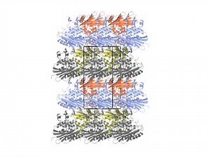 1RNH Ribonuclease H in P212121