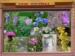 Niittykukkaset ~ Reijo Taipale 🎵🎵