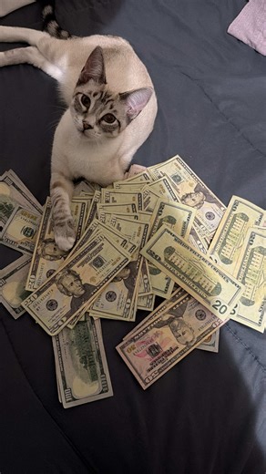 Push The Feeling On 💸