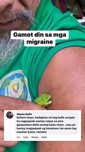 Ang mga may migraine Ang nag sabi niyan ha? Hindi ako! #miraclesnake #datukamandag #31years #mutyaka #baleleng #yellow #green #tsub #pitviper #forthewholefamily | Ba le Leng