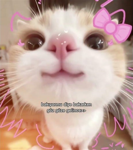 hahahhaa🎀💗💌#keşfetbeniöneçıkar #blackpink #lisa #jimin #ytdayibenionecikarnolur