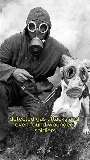 Meet the Animal Heroes of World War I! 🐴🐕🐦