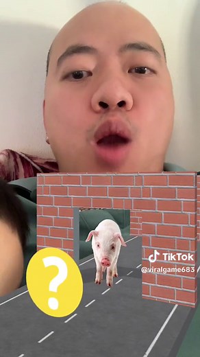Animal Sound Escape Challenge: A TikTok Game Video