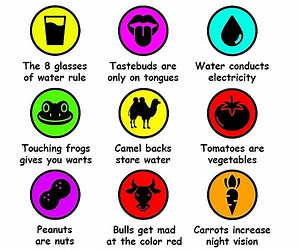 Debunking Dozens of Common Misconceptions