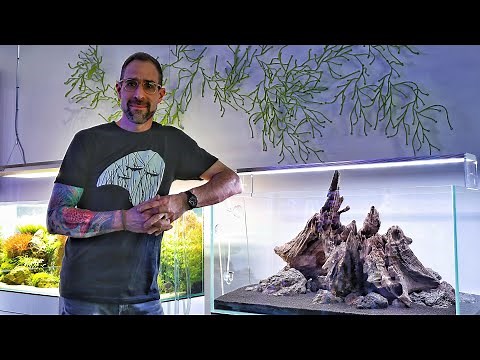 Simple yet Stunning Hardscape Step by Step at Aquarium Design Group