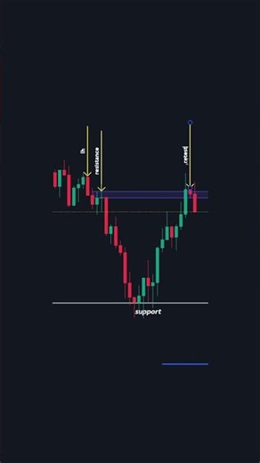 The Best Forex Trading Tips for Beginners