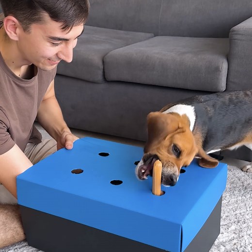 84K views · 81 reactions | Play with your dog! | 5-Minute Crafts Play | Facebook