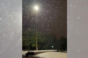 Florida gets snow in sunny state