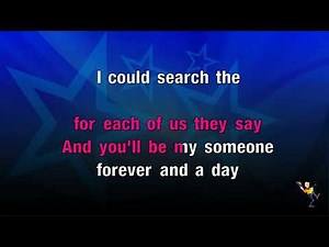 I'll Never Find Another You - Seekers (KARAOKE)