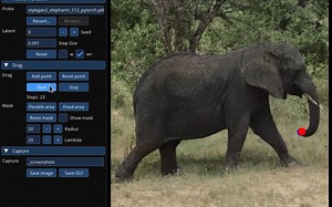 DragGan演示之「动物🐘篇」【DragGan-PS的弑君者】